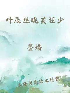 叶辰丝晓芸狂少