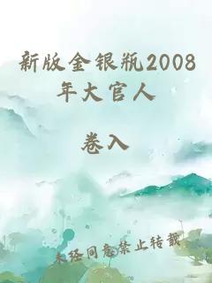 新版金银瓶2008年大官人