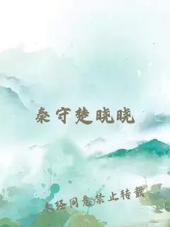 秦守楚晓晓