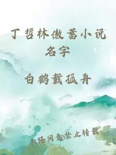 丁哲林傲蓄小说名字