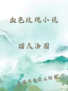 血色玫瑰小说