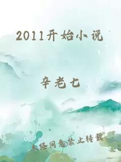 2011开始小说