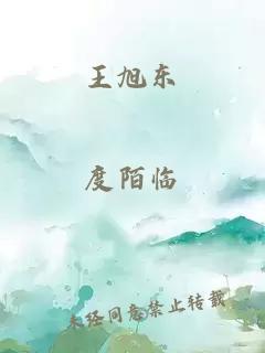 王旭东