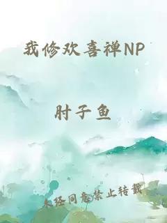 我修欢喜禅NP