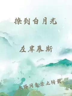 撩到白月光