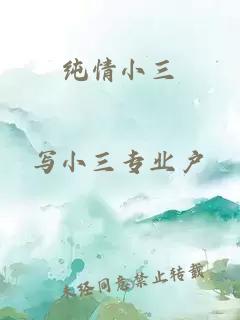 纯情小三