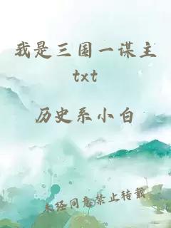 我是三国一谋主txt