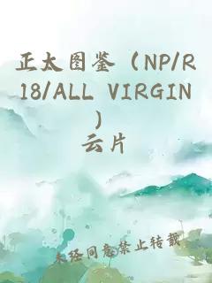 正太图鉴（NP/R18/ALL VIRGIN）