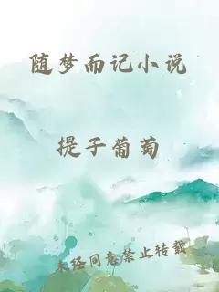 随梦而记小说