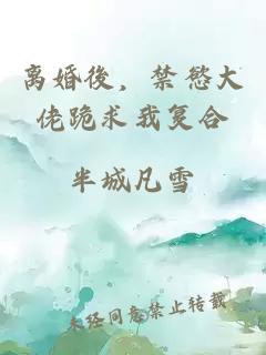 离婚後，禁慾大佬跪求我复合