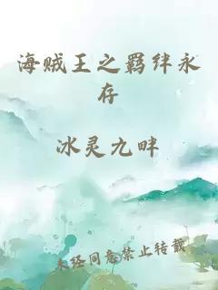 海贼王之羁绊永存