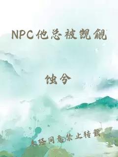 NPC他总被觊觎